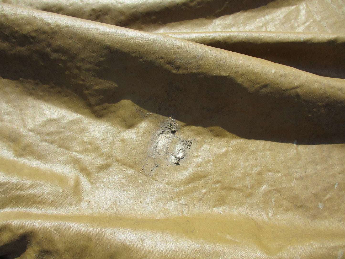 USMC Reversible Field Tarp MARPAT Woodland US Military Surplus Tent Shelter