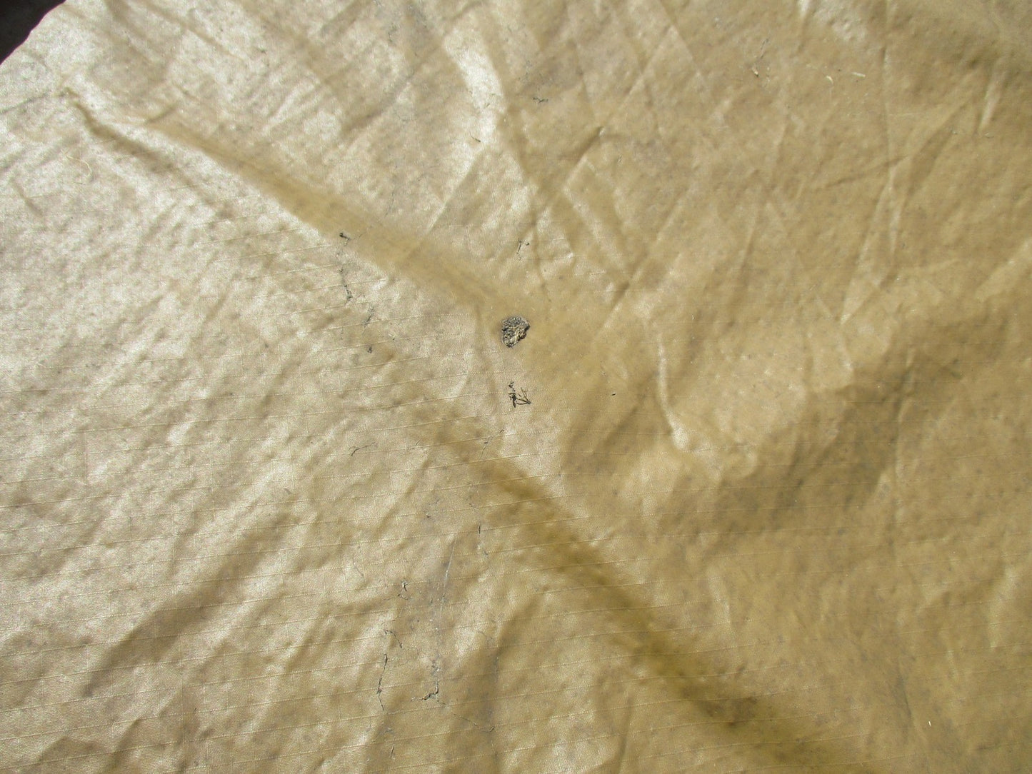 USMC Reversible Field Tarp MARPAT Woodland US Military Surplus Tent Shelter